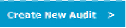 newaudit.png