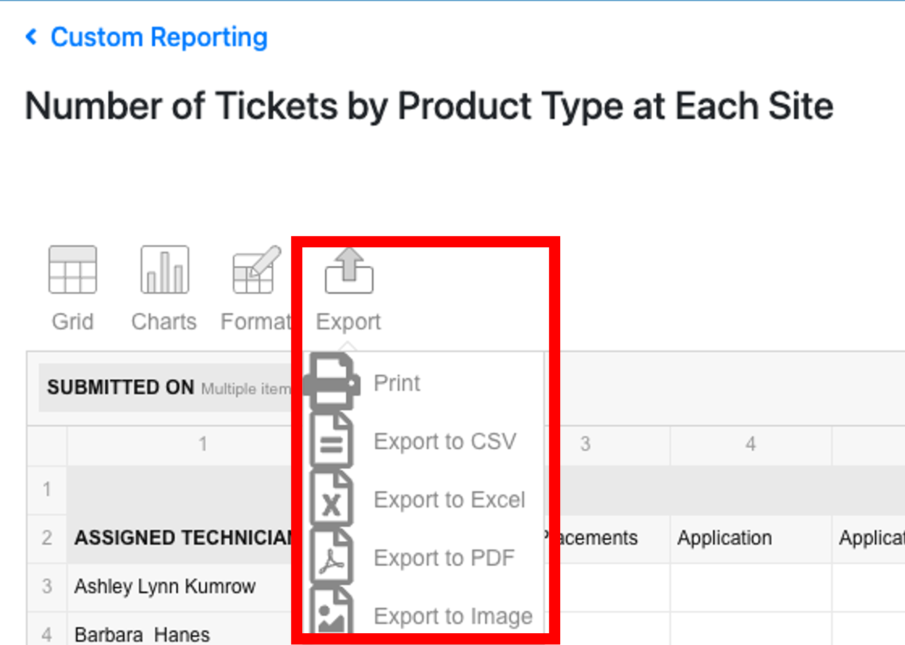export options.png